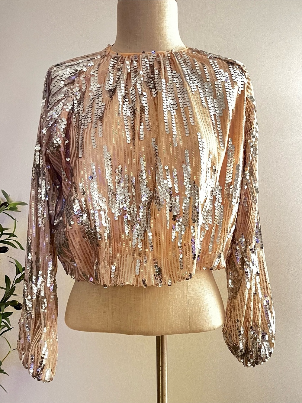 NWT THML mixed Sequin Long-Sleeve Crop Top - Blush silver